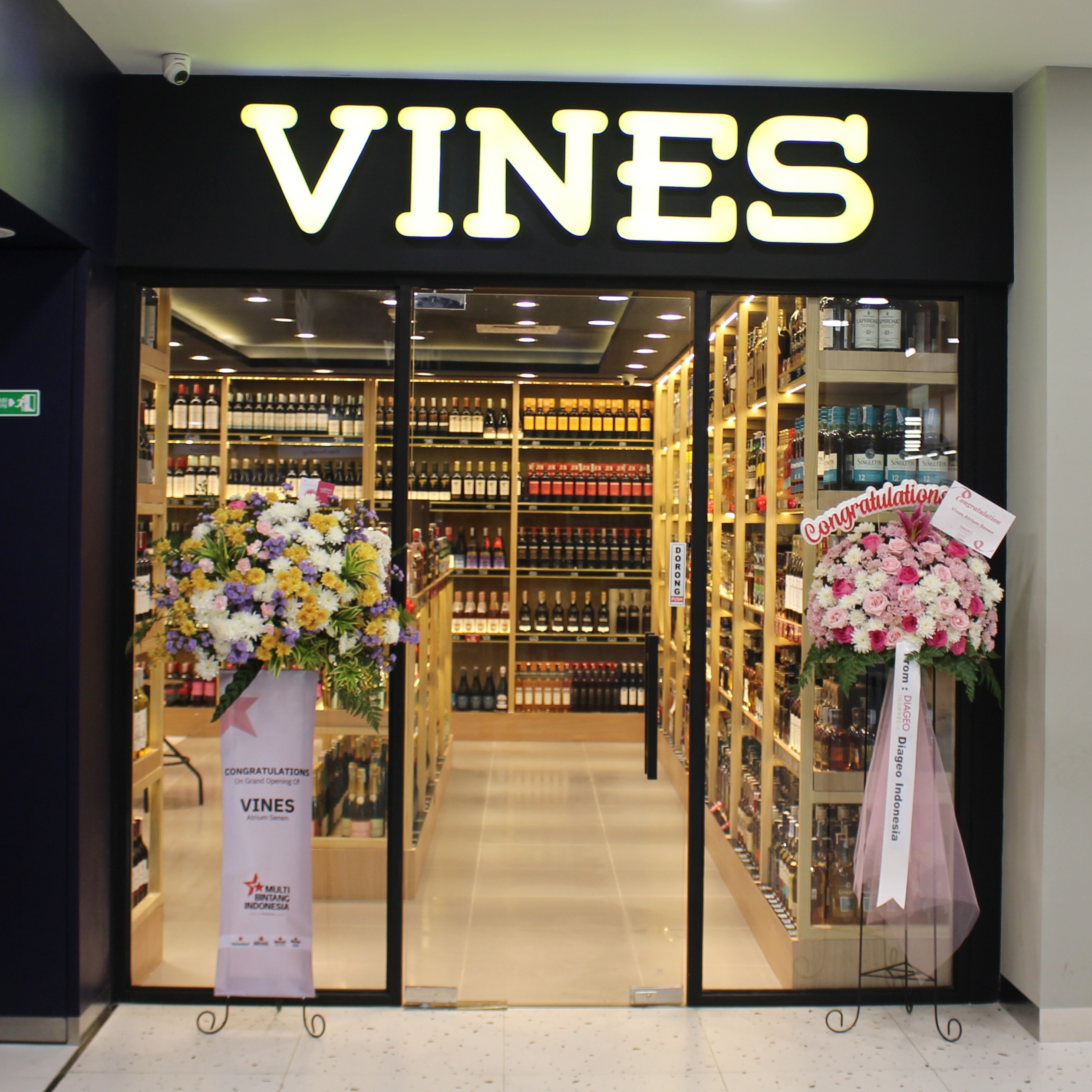 mgp-exhibition-Vines Atrium Senen